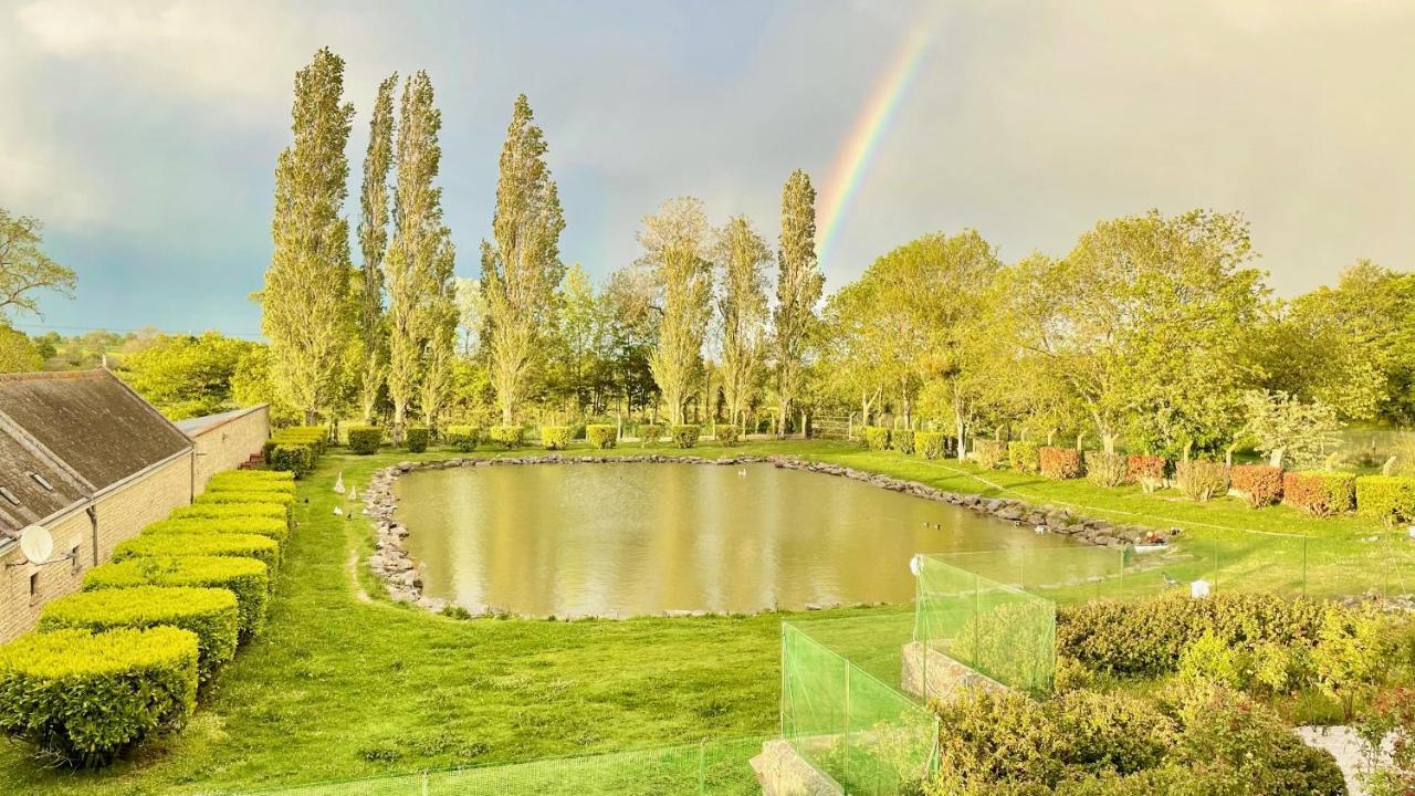 Chateau Du Bu Anctoville Exteriér fotografie